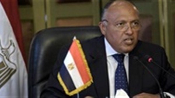 سامح شكرى 