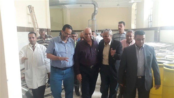 غزل المحلة