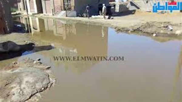 صورة من داخل القرية