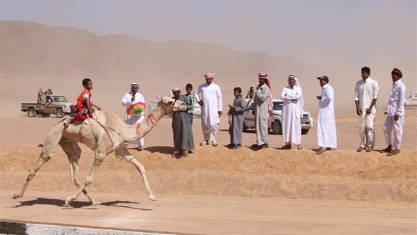 السباق