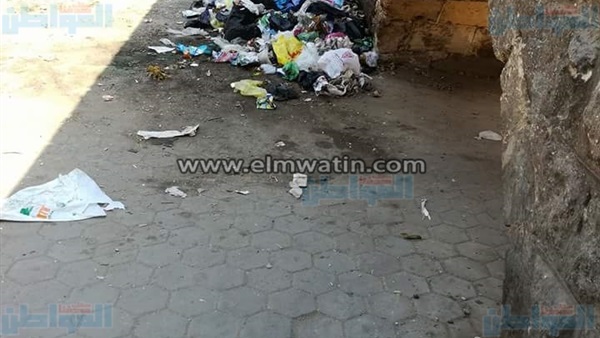 المواطن