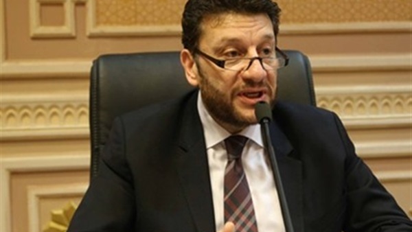 عمرو المنير