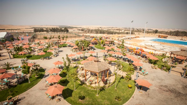 فرع الأهلي بالشيخ