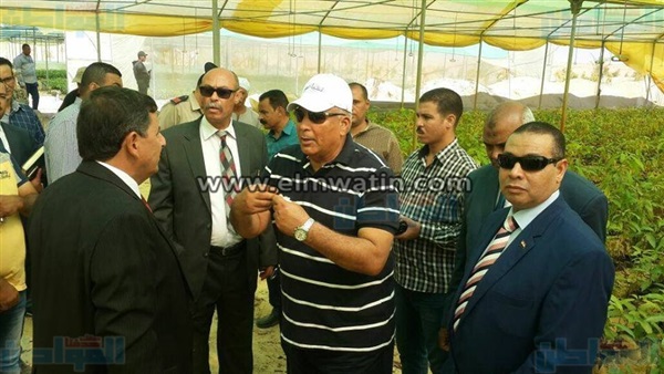 محافظ الوادى الجديد
