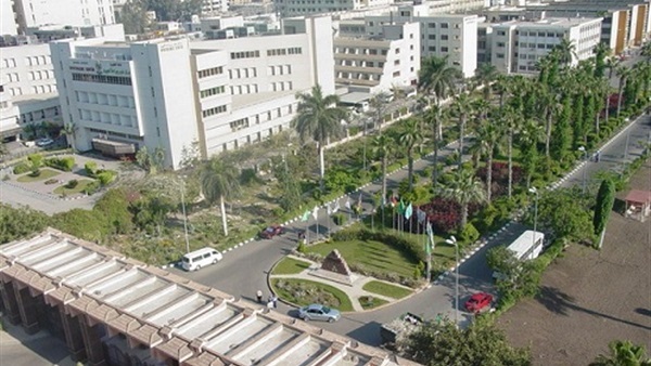 حقوق المنصورة