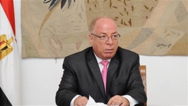وزير الثقافة حلمي