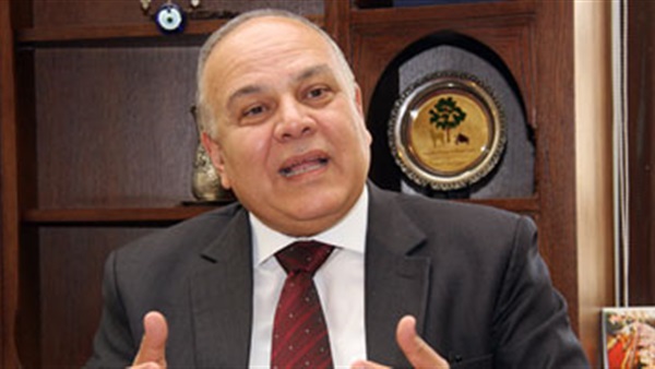 عمرو عزت سلامة