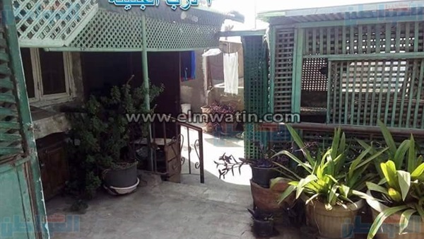 صورة من الحملة
