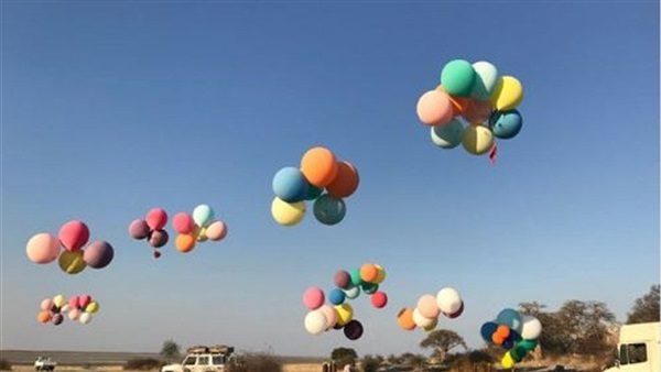 المواطن