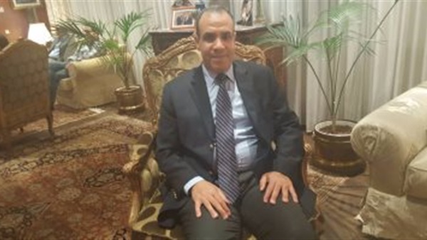السفير بدر عبد العاطي