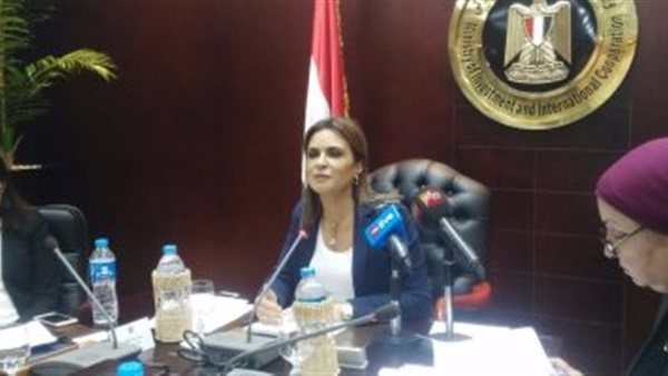 وزيرة الاستثمار