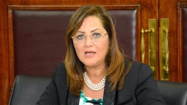 وزير التخطيط