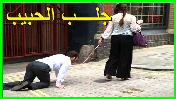 أرشيفية