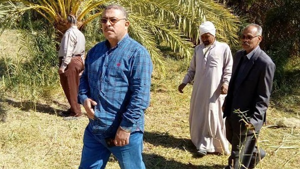 المواطن