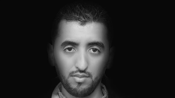 شمس الدين - فنان