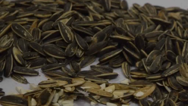 المضبوطات