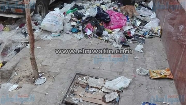 المواطن