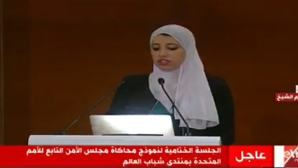 جلسة المحاكاة
