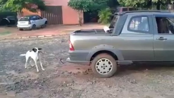 صورة من الفيديو