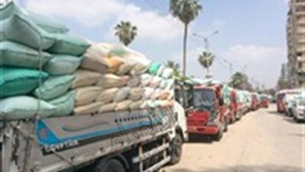 أرشيفية