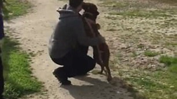 صورة من الفيديو
