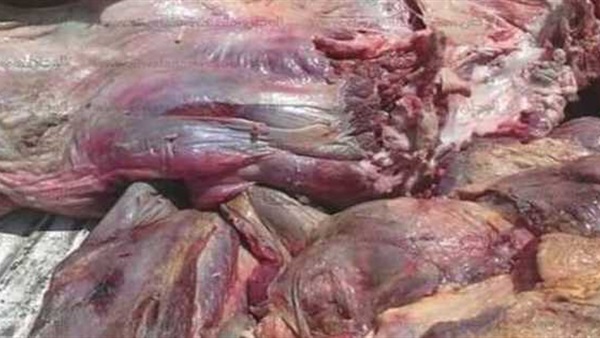حملة بيطرية