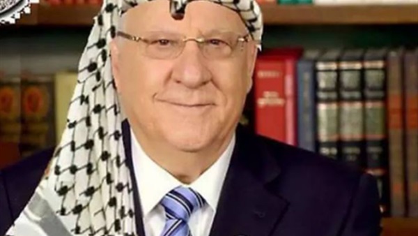 ريفي ريفلين