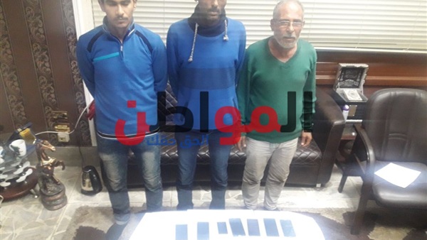 المواطن