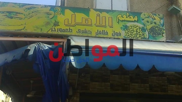 المواطن