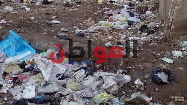 المواطن