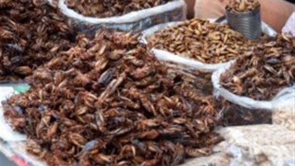 صورة من الفيديو