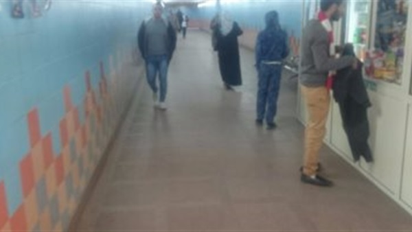 المواطن