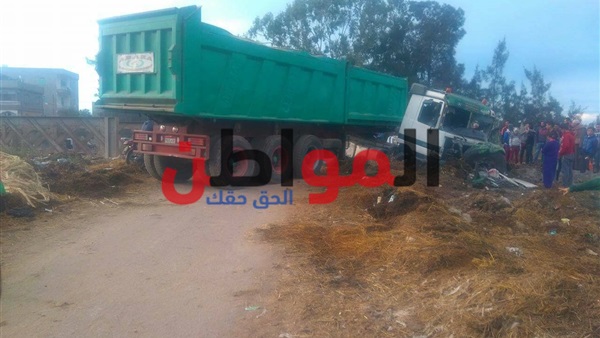 المواطن
