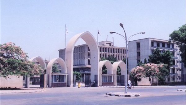 جامعة جنوب الوادي