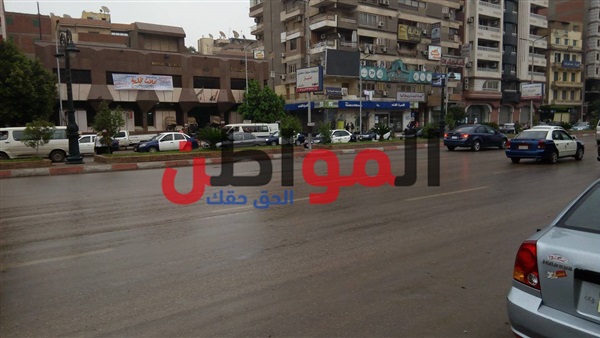 المواطن