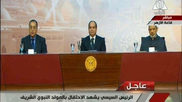 الرئيس السيسى