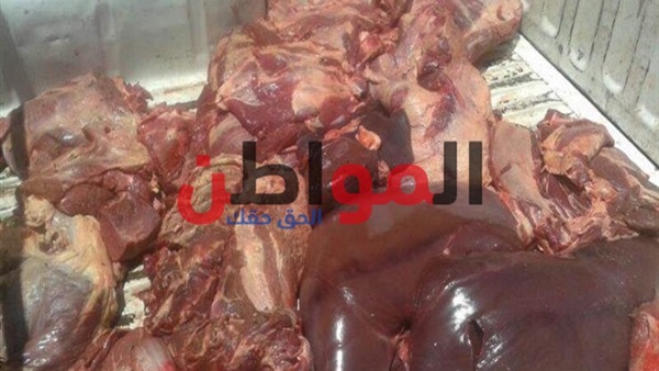 المواطن