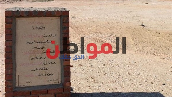 الوادي الجديد