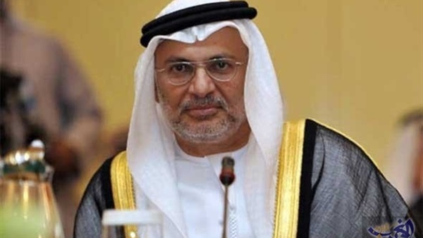 وزير الدولة الإماراتي