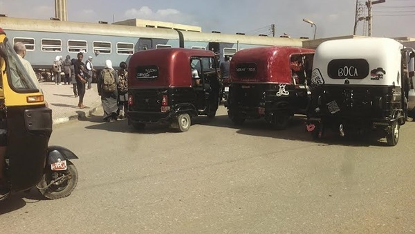 المواطن