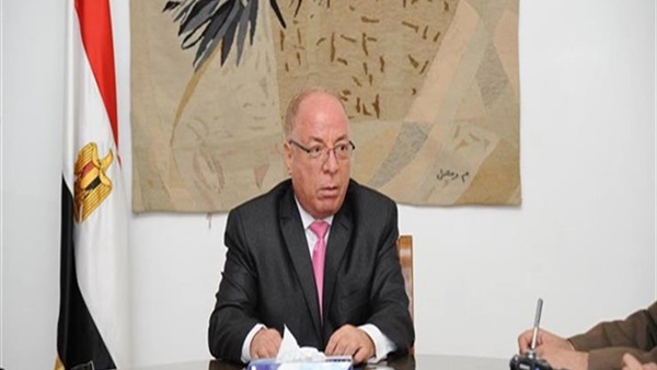 وزير الثقافة حلمي