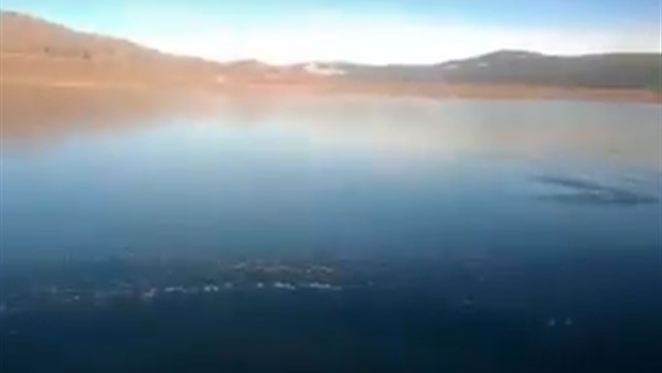 صورة من الفيديو