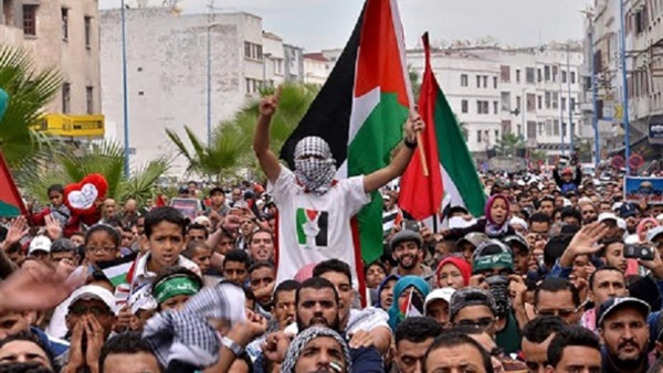 المواطن