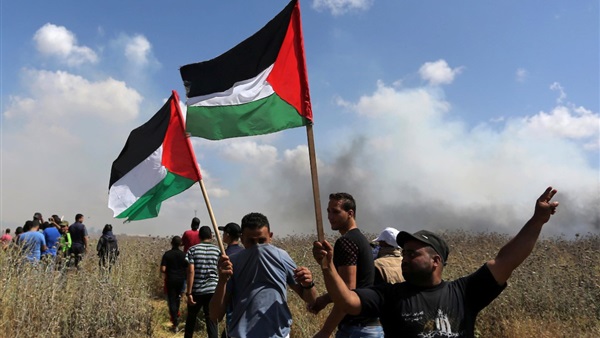 المظاهرات في فلسطين