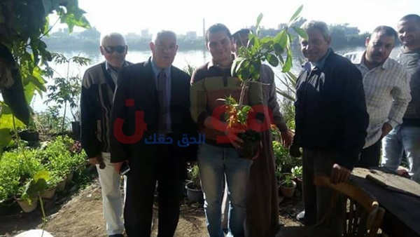 المواطن
