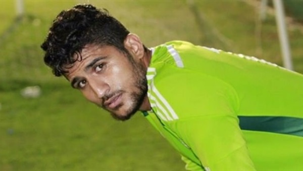 على لطفى 