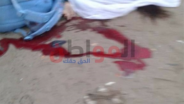 المواطن