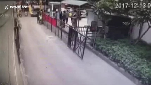 المواطن