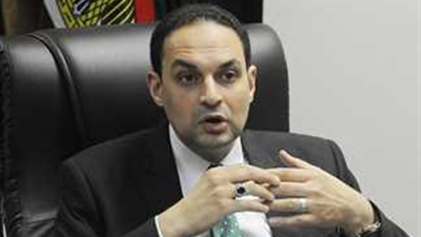 المستشار محمد جميل