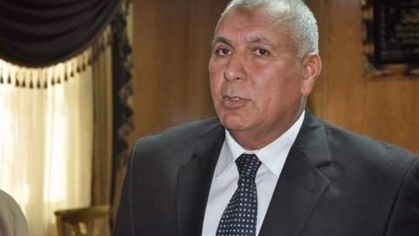 محافظ الوادي الجديد